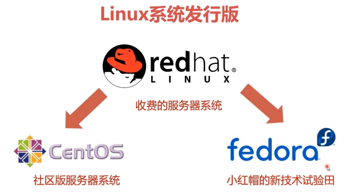 image-20220817144044877